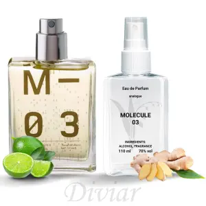 Аромат схожий на молекулу 03, парфумована вода, наливні французькі парфуми, парфуми унісекс