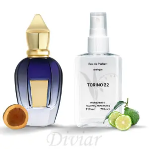 Аромат схожий на Xerjoff Torino 22, парфумована вода, парфуми унісекс, наливні французькі парфуми